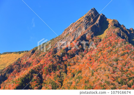 [愛媛縣] 晴空下的石槌山紅葉 107916674