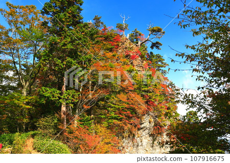 [愛媛郡] 石錘山紅葉連鎖遺址（前沙森） 107916675