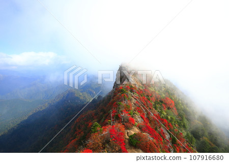 [愛媛郡] 天狗山（石鎚山）秋葉籠罩在霧中 107916680