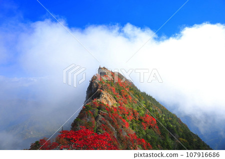 [Ehime Prefecture] Mt. Tengu (Mt. Ishizuchi) with autumn leaves shrouded in fog 107916686