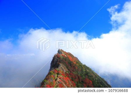 [愛媛郡] 天狗山（石鎚山）秋葉籠罩在霧中 107916688