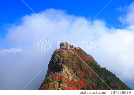 [愛媛郡] 天狗山（石鎚山）秋葉籠罩在霧中 107916689