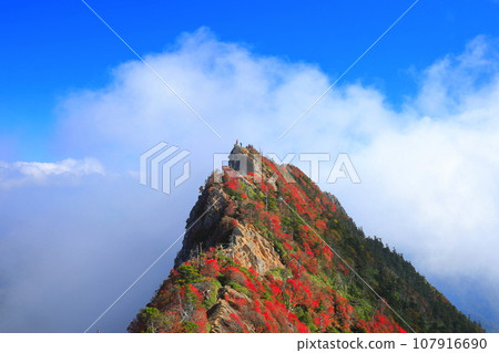 [愛媛郡] 天狗山（石鎚山）秋葉籠罩在霧中 107916690