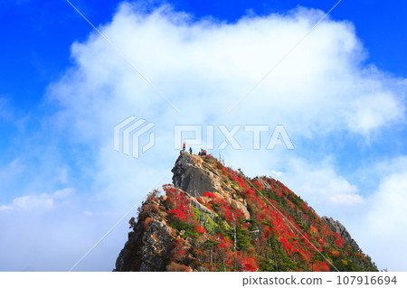 [愛媛郡] 天狗山（石鎚山）秋葉籠罩在霧中 107916694