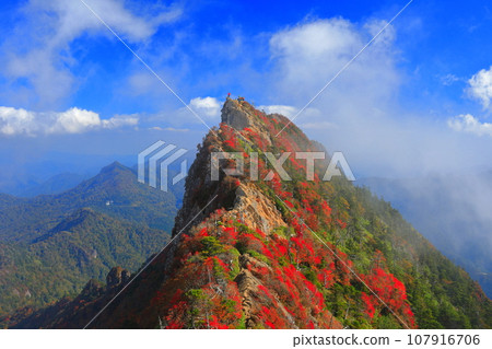 [愛媛郡] 天狗山（石鎚山）秋葉籠罩在霧中 107916706