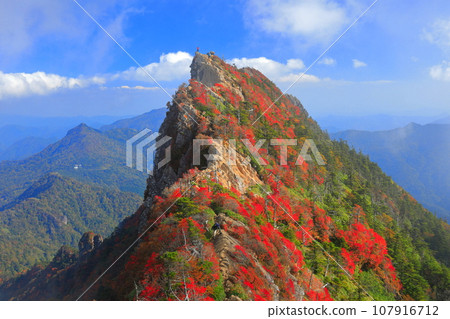 [Ehime Prefecture] Mt. Tengu (Mt. Ishizuchi) with autumn leaves shrouded in fog 107916712