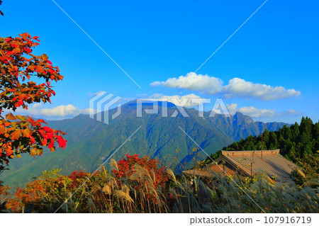 [愛媛郡] 從石鎚登山索道山丘成珠舍站（前社神森）看到的紅葉 107916719