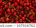 Texture of juicy ripe cherries 107916762