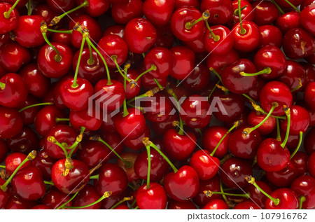 Texture of juicy ripe cherries Texture of juicy ripe cherries 107916762