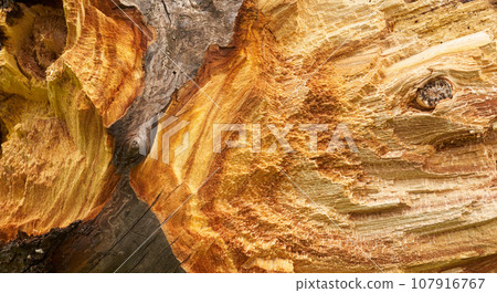 Wood fiber texture 107916767