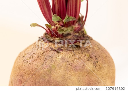 甜菜頭,髮際線向上 甜菜頭,髮際線向上 107916802