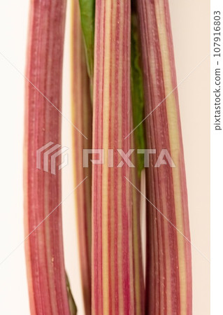 甜菜葉莖 甜菜葉莖 107916803