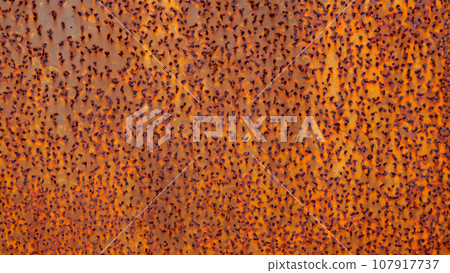 Rusted metal wall Rusted metal wall 107917737