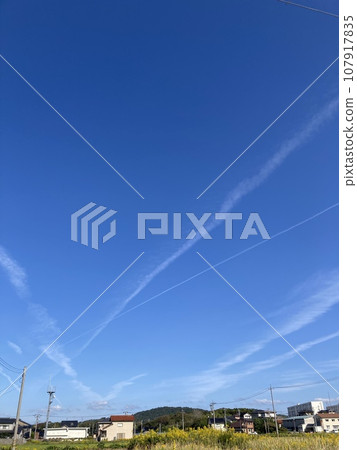 Flying sky in the autumn sky Flying sky in the autumn sky 107917835