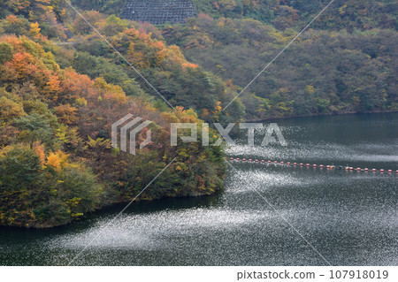 Kodama Dam 2022-11-13 #114 Kodama Dam 2022-11-13 #114 107918019