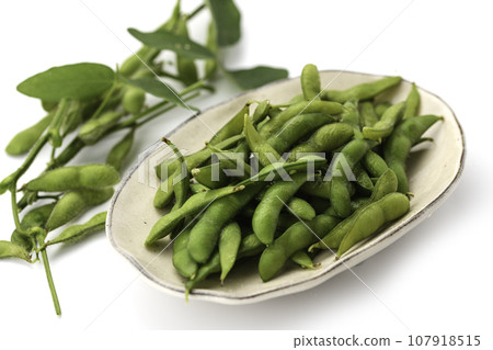 毛豆作為酒精的伴奏(酒精開胃菜圖像) 鹽煮毛豆 毛豆白色背景 毛豆作為酒精的伴奏(酒精開胃菜圖像) 鹽煮毛豆 毛豆白色背景 107918515