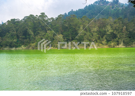 Telaga Warna, a mystical lake in Dieng, Indonesia. Telaga Warna, a mystical lake in Dieng, Indonesia. 107918597