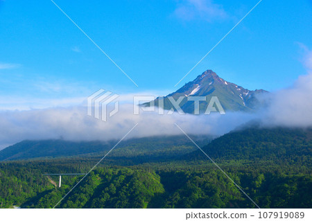 春天的利尻島 春天的利尻島 107919089