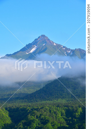 春天的利尻島 春天的利尻島 107919094