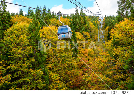 秋田縣森吉山,阿仁纜車在紅葉森林中飛馳 秋田縣森吉山,阿仁纜車在紅葉森林中飛馳 107919271
