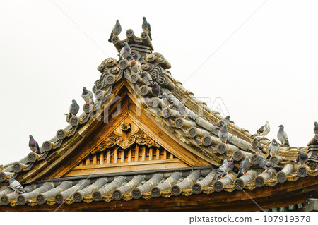 鴿子在日式古建築的屋頂上休息 鴿子在日式古建築的屋頂上休息 107919378