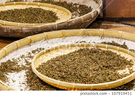Tea leaves being exposed to the sun Tea leaves being exposed to the sun 107919451