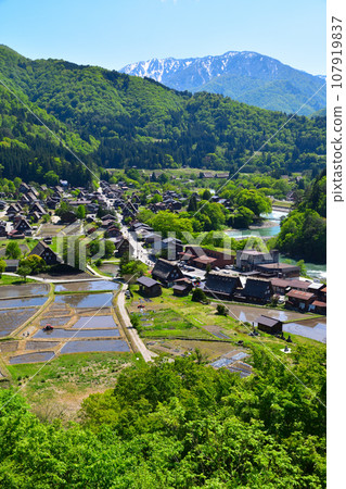 Haru Shirakawago 扇町區 Haru Shirakawago 扇町區 107919837