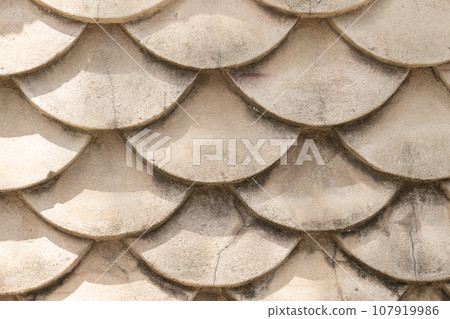 Close-up concrete wall designed resemble fish scales 107919986