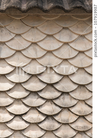 concrete wall, fish-scale design resembling Japanese koi Guotaku 107919987