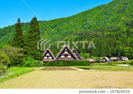 Haru Shirakawago 扇町區 Haru Shirakawago 扇町區 107920020