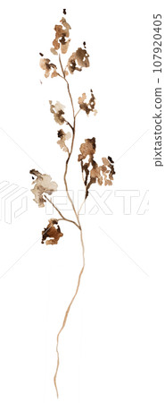 Watercolor brown dryed wildflowers isolated illustration, floral wedding and greeting element Watercolor brown dryed wildflowers isolated illustration, floral wedding and greeting element 107920405