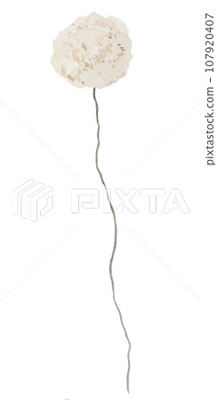 Watercolor cream wildflowers isolated illustration, floral wedding and greeting element 107920407