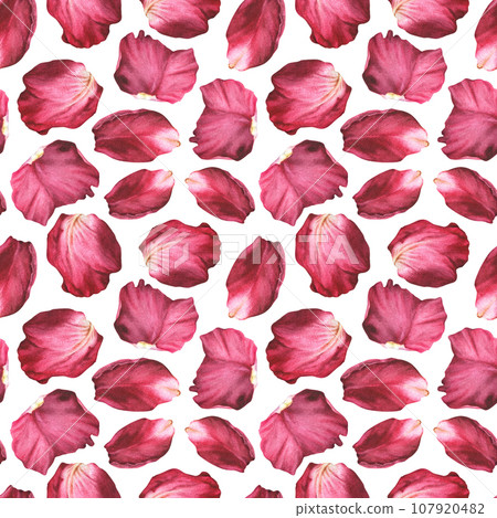 Seamless Pattern with pink flower Petals. Watercolor botanical illustration of red rose and peonies. Hand drawn isolated on white background. Floral ornament for printing on fabric and wrapping paper Seamless Pattern with pink flower Petals. Watercolor botanical illustration of red rose and peonies. Hand drawn isolated on white background. Floral ornament for printing on fabric and wrapping paper 107920482