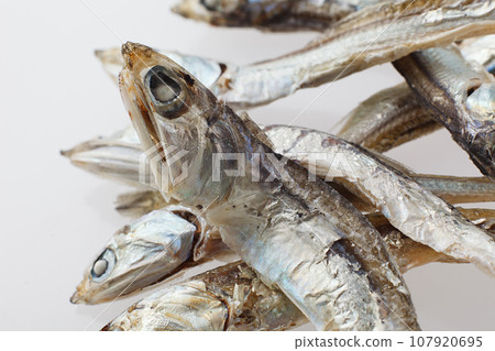 乾沙丁魚工作室攝影 107920695