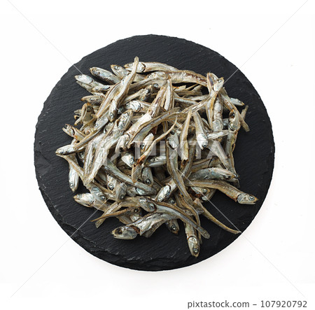 乾沙丁魚工作室攝影 乾沙丁魚工作室攝影 107920792