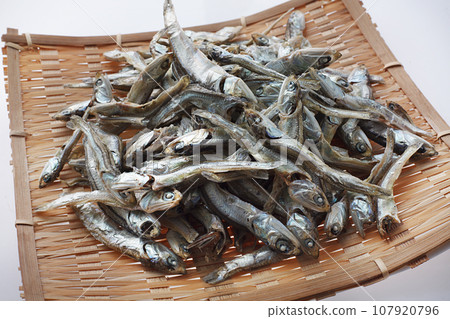 dried sardines studio photography 107920796