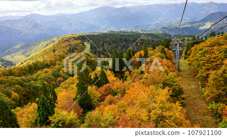 秋田縣森吉山阿仁滑雪場纜車,欣賞美麗秋葉的壯麗景色 秋田縣森吉山阿仁滑雪場纜車,欣賞美麗秋葉的壯麗景色 107921100