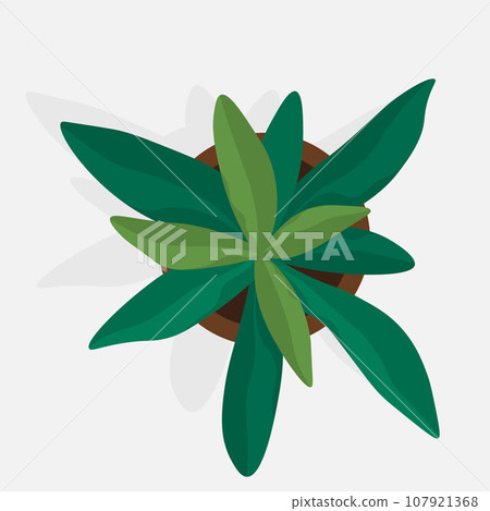 Flower pot. Vector illustration. The houseplant thrives in its designated pot, bringing life to room The botanical garden showcases wide variety plant species from around world The blooming flowers 107921368