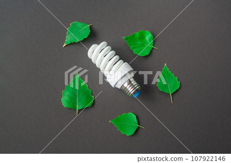 Light bulb with green leaves on black background 107922146