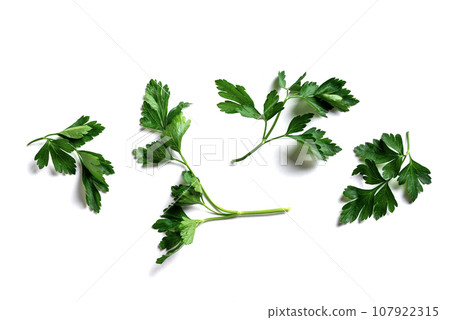 Parsley leaves 107922315