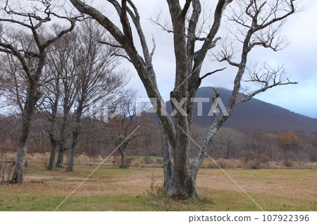 Scenery near Mt. Hakkoda Scenery near Mt. Hakkoda 107922396