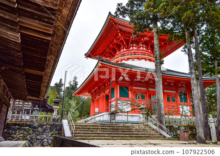 Koyasan in the rain, Danjo Garan and Nemoto Daito Koyasan in the rain, Danjo Garan and Nemoto Daito 107922506