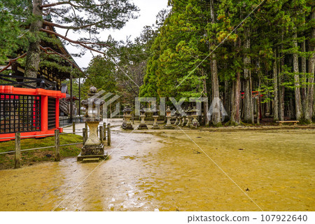 雨中的高野山團上伽藍 107922640