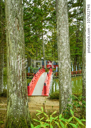 高野山團上伽藍 蓮花池 紅橋 高野山團上伽藍 蓮花池 紅橋 107922746