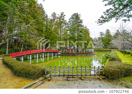 高野山團上伽藍蓮花池 高野山團上伽藍蓮花池 107922748