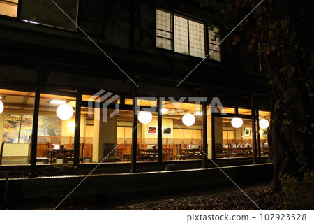 Exterior of Tsuta Onsen at night 107923328