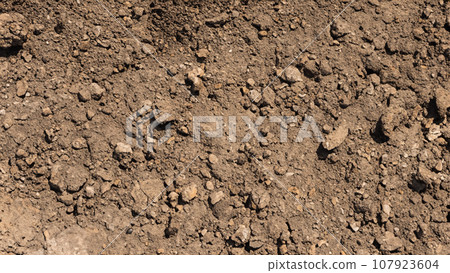 挖出地面 107923604