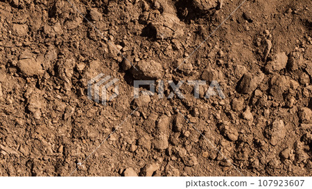 dug up ground dug up ground 107923607