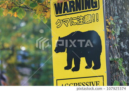 bear warning sign bear warning sign 107925374