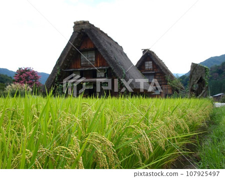 Shirakawago's grand pavilion settlement Shirakawago's grand pavilion settlement 107925497